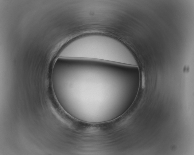 X0000113280252200909140948