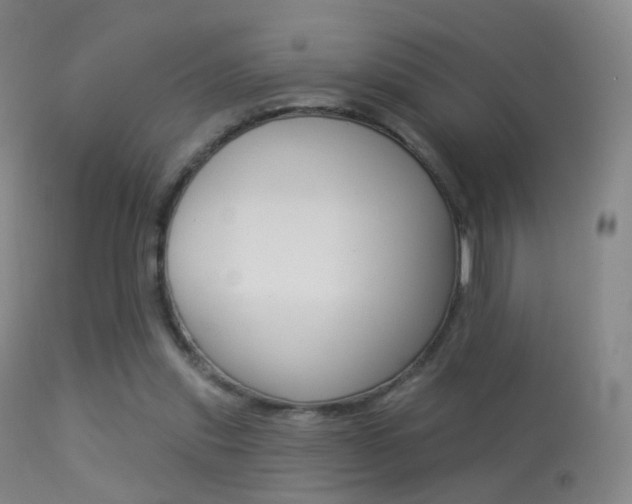 X0000113280253200909140948