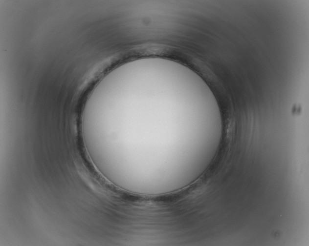 X0000113280254200909140948