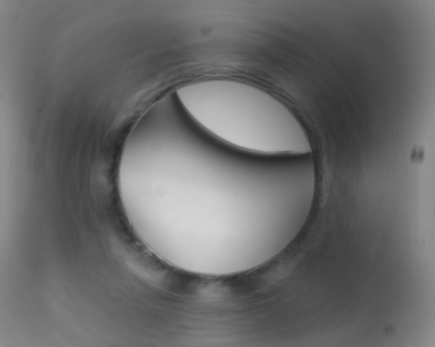 X0000113280258200909140948