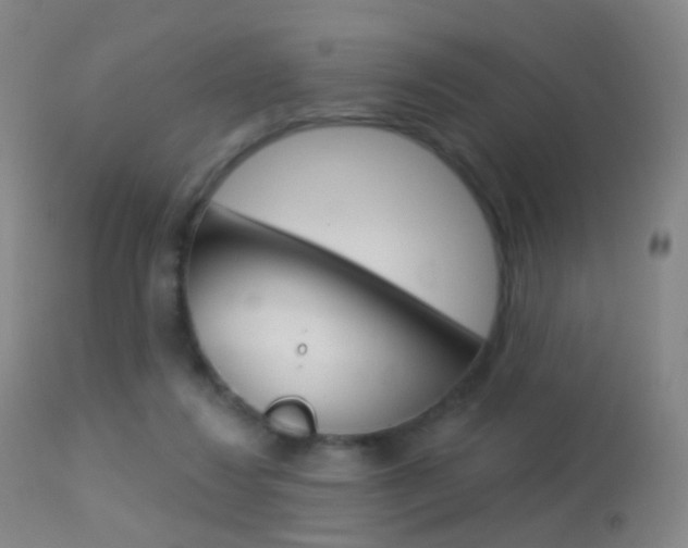 X0000113280260200909140948