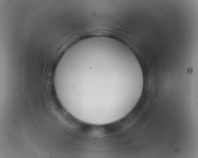 X0000113280263200909140948