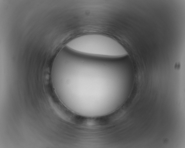 X0000113280264200909140948