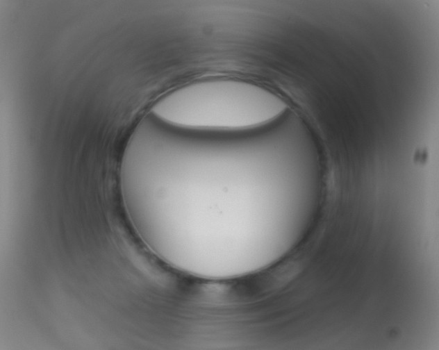 X0000113280265200909140948