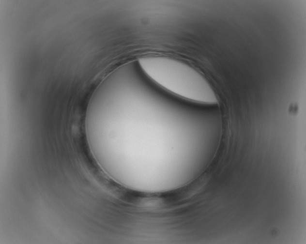 X0000113280266200909140948