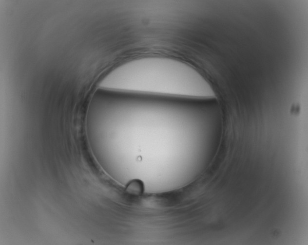 X0000113280268200909140948