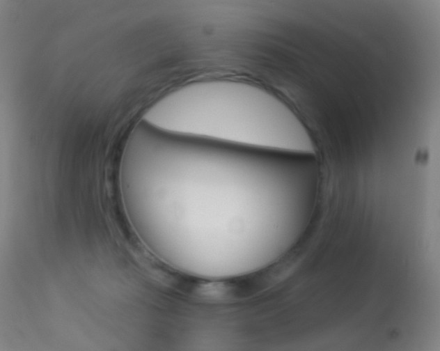 X0000113280269200909140948