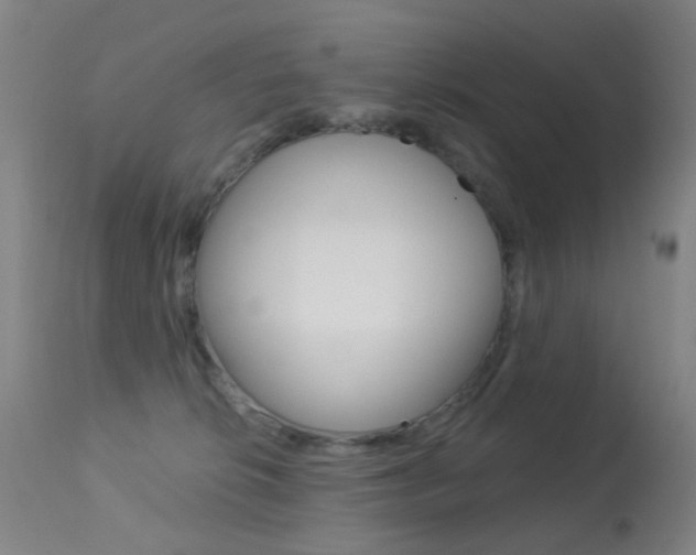 X0000113280276200909140948