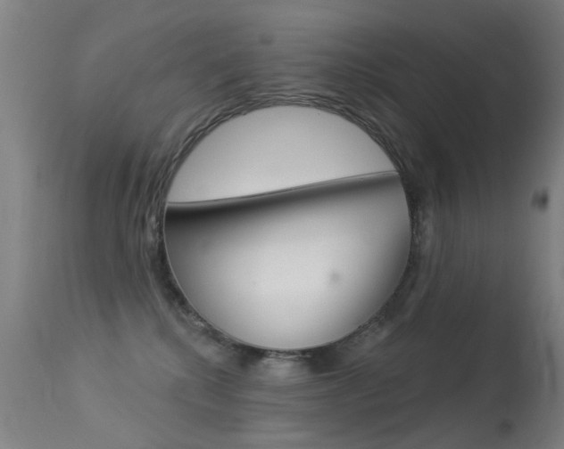 X0000113280280200909140948