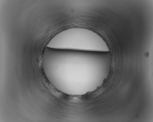 X0000113280285200909140948