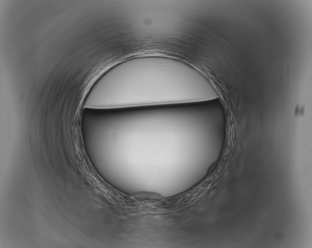 X0000113280289200909140948