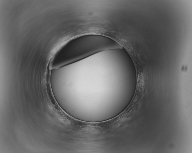 X0000113280292200909140948