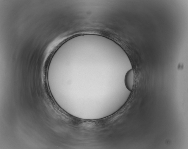 X0000113280294200909140948