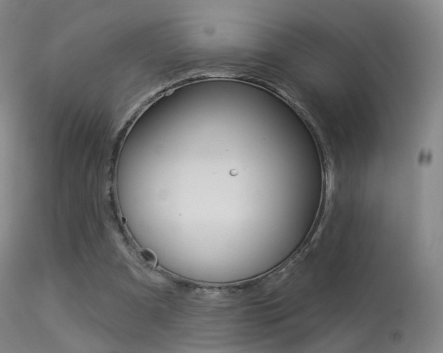 X0000113280297200909140948