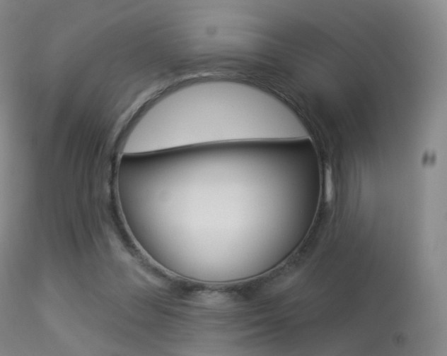 X0000113280300200909140948
