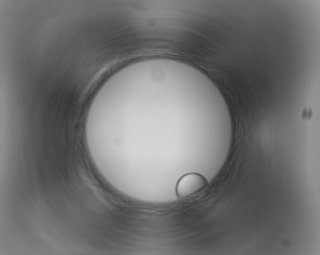 X0000113280304200909140947