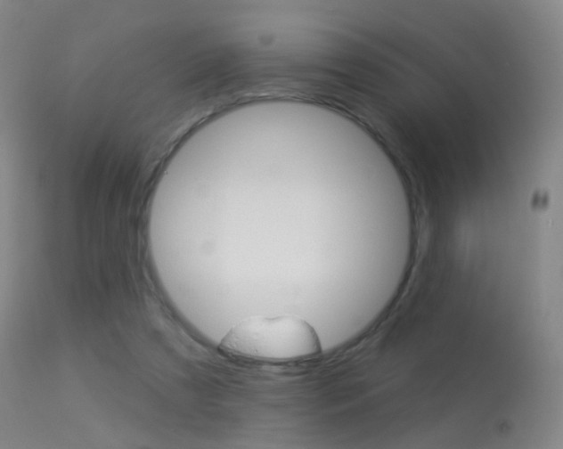 X0000113280305200909140947