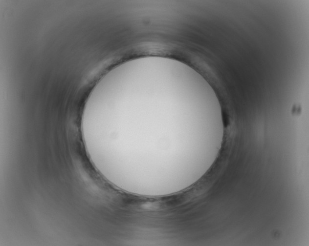 X0000113280306200909140947