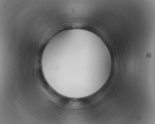 X0000113280311200909140947