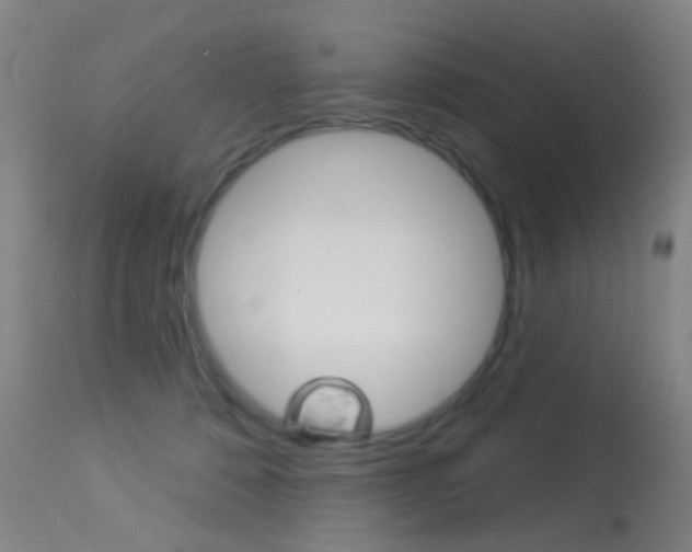 X0000113280320200909140947