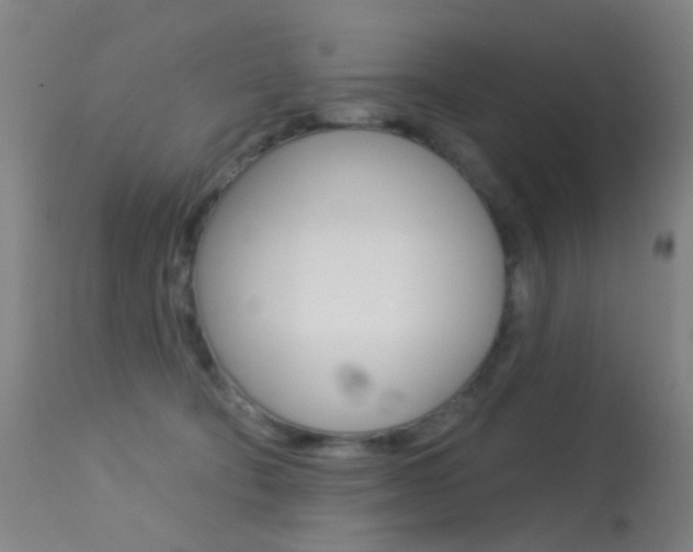 X0000113280322200909140947