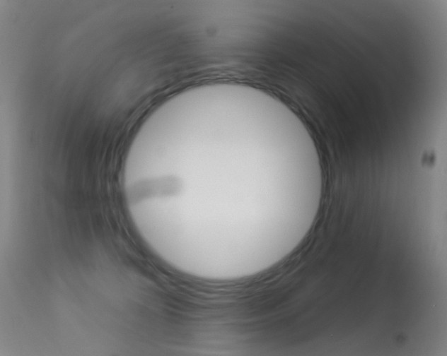 X0000113280324200909140947