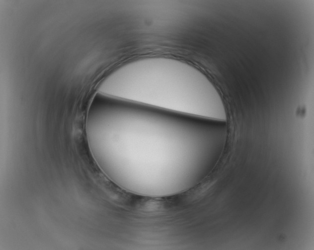 X0000113280325200909140947