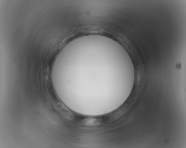 X0000113280326200909140947