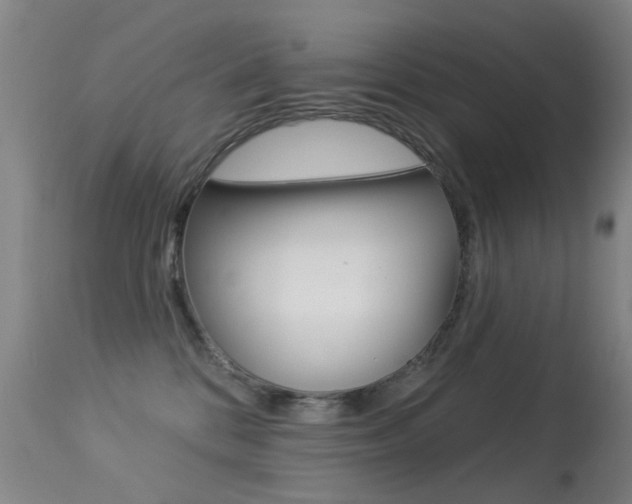 X0000113280328200909140947