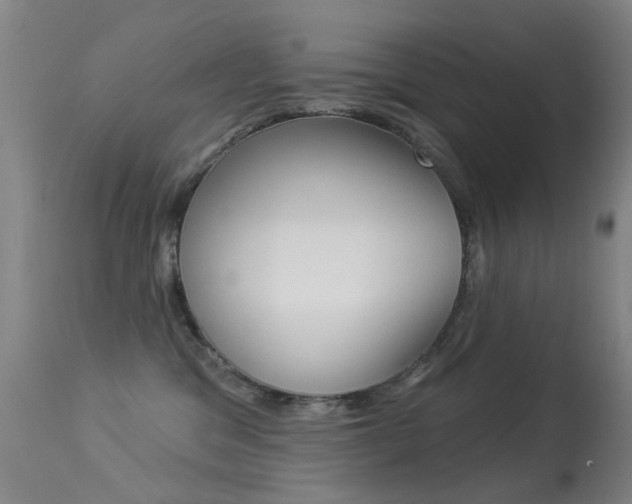 X0000113280329200909140947