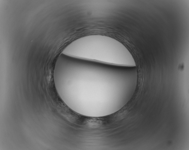 X0000113280331200909140947