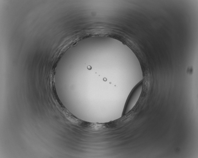 X0000113280333200909140947