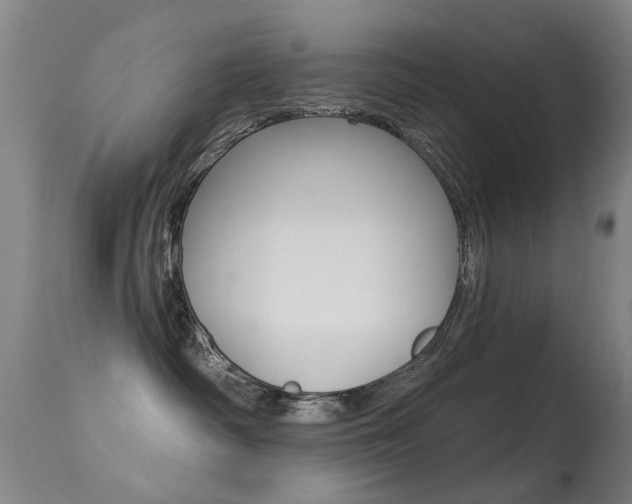 X0000113280334200909140947