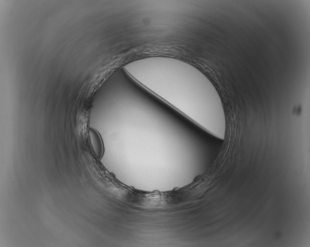 X0000113280335200909140947