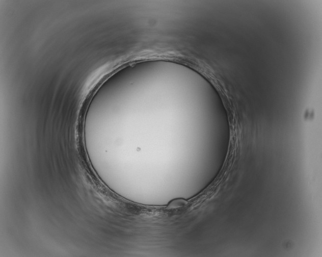X0000113280340200909140946