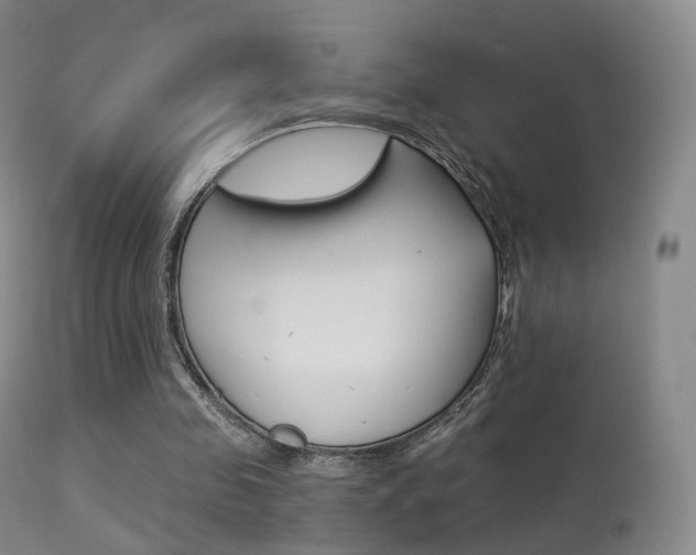 X0000113280341200909140946