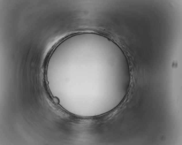 X0000113280342200909140946