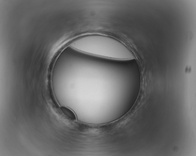 X0000113280344200909140946