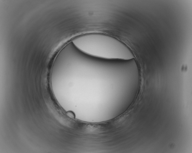 X0000113280346200909140946