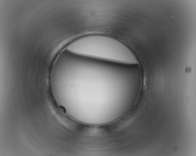 X0000113280348200909140946