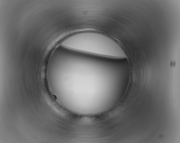 X0000113280350200909140946