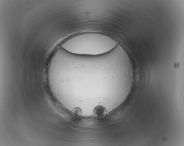 X0000113280351200909140946