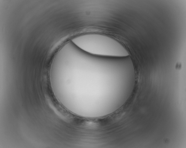 X0000113280352200909140946