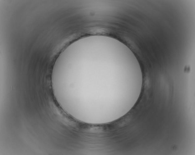 X0000113280353200909140946