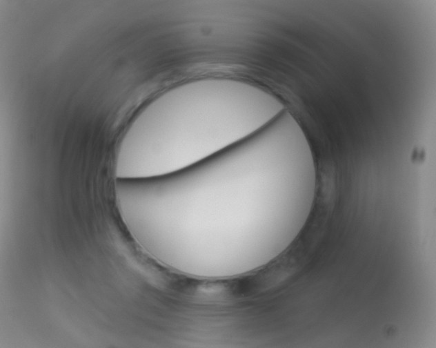X0000113280357200909140946