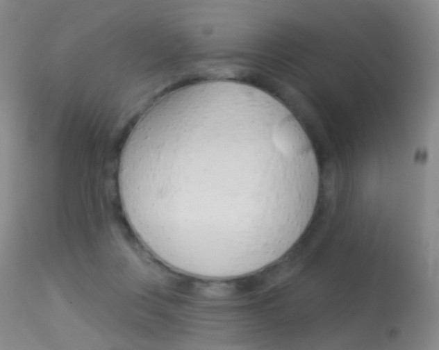 X0000113280359200909140946