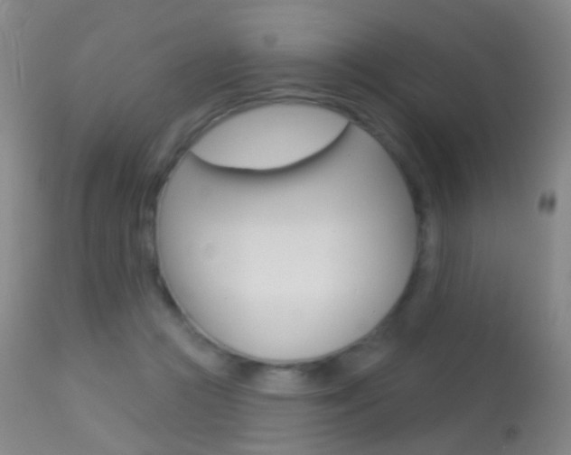 X0000113280361200909140947