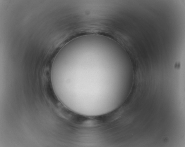 X0000113280364200909140947