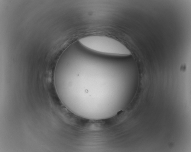 X0000113280368200909140947