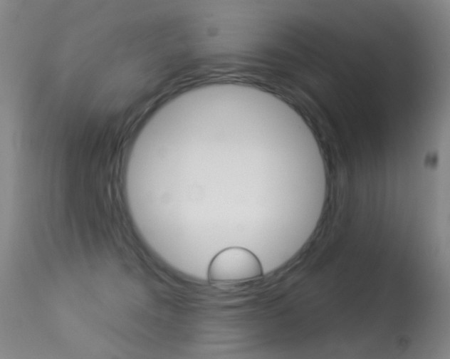 X0000113280372200909140947